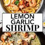 Lemon Garlic Shrimp long Pinterest image.