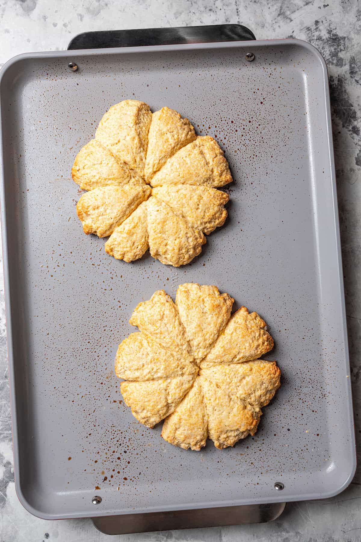 Two rounds of baked orange scones on a baking sheet.