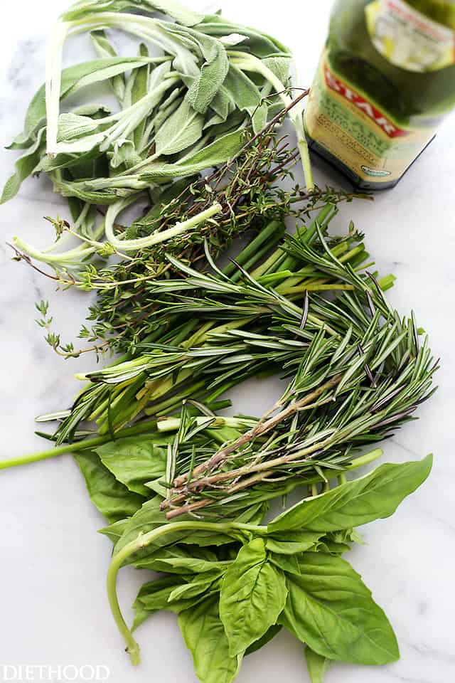 How to Freeze Fresh Herbs in Olive Oil - Freezing fresh herbs in olive oil is the perfect way to preserve herbs!
