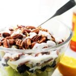 Mixed Fruit Salad with Honey-Lemon Yogurt Dressing