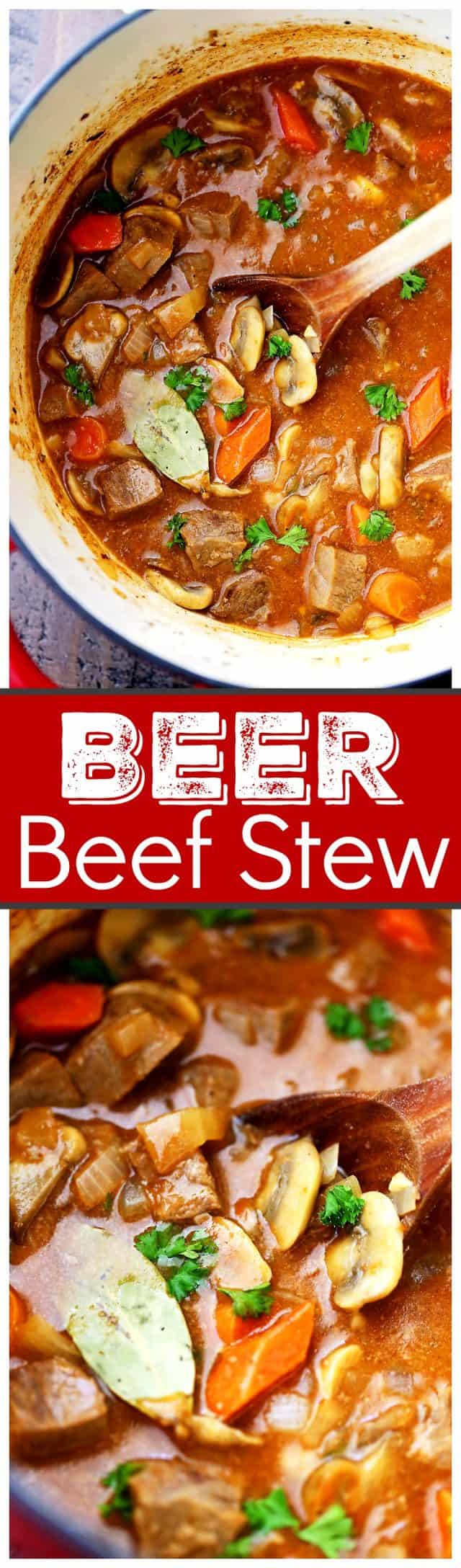 Beer Beef Stew Recipe - Super easy, but delicious and quick hearty stew cooked in a dutch oven with beef, mushrooms, carrots, and beer!