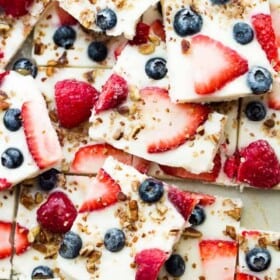 Frozen Yogurt Bark with Berries - Frozen yogurt studded with gorgeous blue and red berries! A delicious, fun, and healthy dessert!