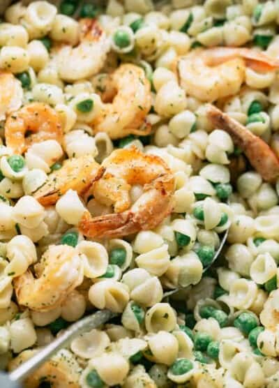 Close-up shot of pasta shells, English peas, and shrimp in a creamy sauce.