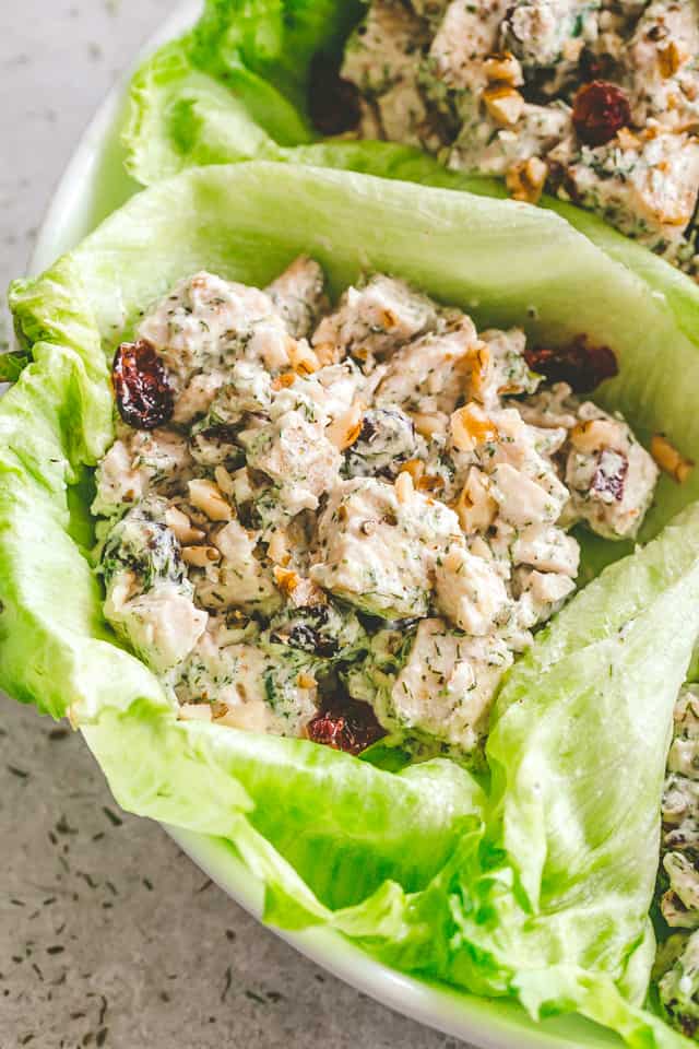 Creamy Dill Chicken Salad with Nuts and Cranberries - Easy, delicious, and wonderfully creamy chicken salad packed with nuts and cranberries mixed in a zesty blend of yogurt, mayo, and dill. 