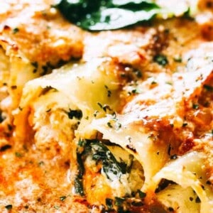Creamy Ricotta Spinach and Chicken Cannelloni - Cannelloni pasta tubes packed with a cheesy ricotta and chicken filling, and topped with a creamy and delicious tomato sauce. Simple, super easy to make, and they're SO tasty!