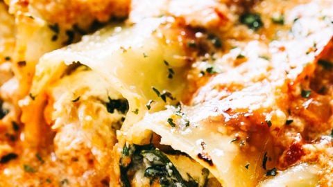 Creamy Ricotta Spinach And Chicken Cannelloni Pasta Recipe