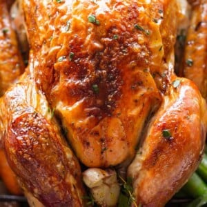 A whole roast Thanksgiving turkey.