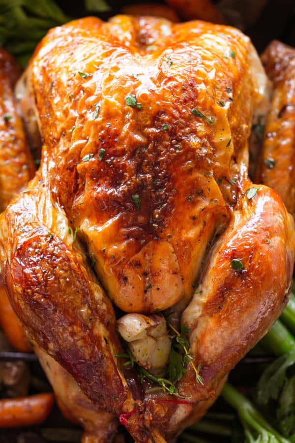 How to Roast a Thanksgiving Turkey | Diethood