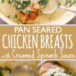 Pan Seared Chicken Breasts with Spinach