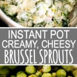 Instant Pot Brussels Sprouts Low Carb Keto
