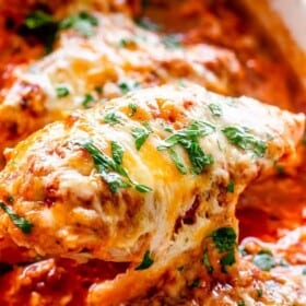 Baked chicken breasts with salsa and cheese.