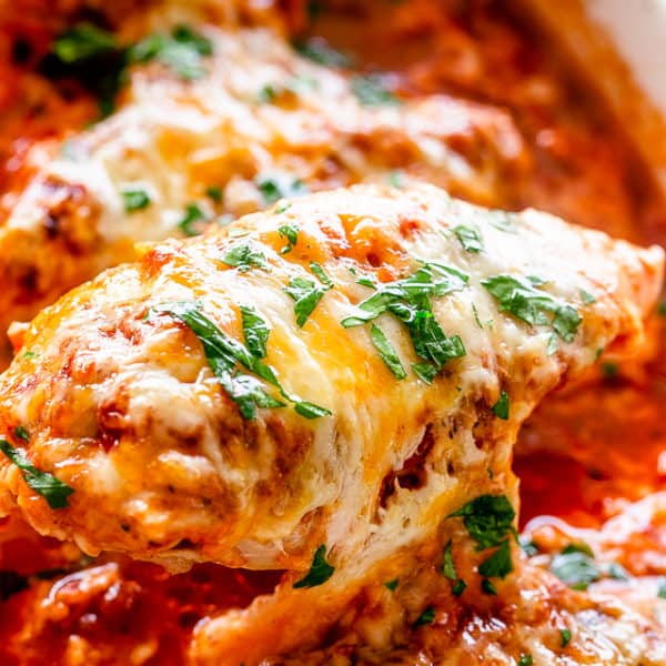 Salsa Chicken Recipe