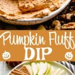 Pumpkin Fluff Dip Pin Image