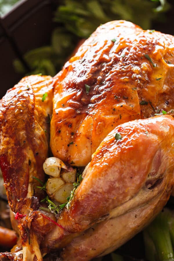 How to Roast a Thanksgiving Turkey | Diethood