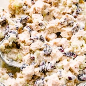 Turkey salad with cranberries and celery.