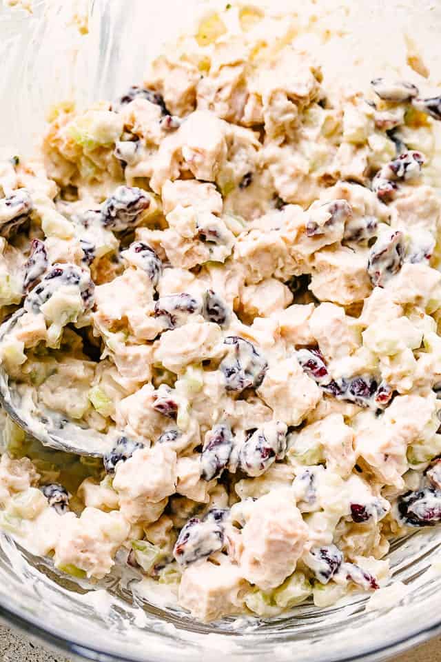 Turkey salad with cranberries and celery.