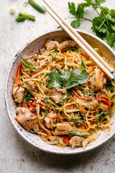 EASY Chicken Chow Mein Recipe | Ready in 25 Minutes!