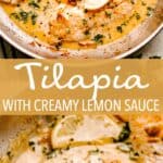 tilapia lemon cream sauce pin image