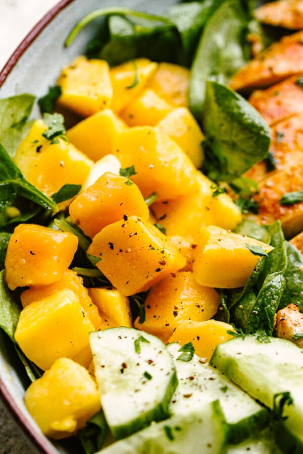 Mango Chicken Salad Recipe with Homemade Dressing