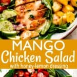Mango Chicken Salad long pinterest image