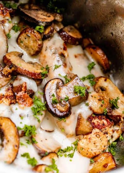 close up of chicken with cream sauce and mushrooms