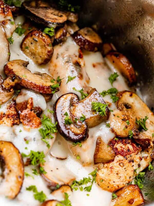 close up of chicken with cream sauce and mushrooms