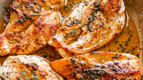 pan seared chicken breast