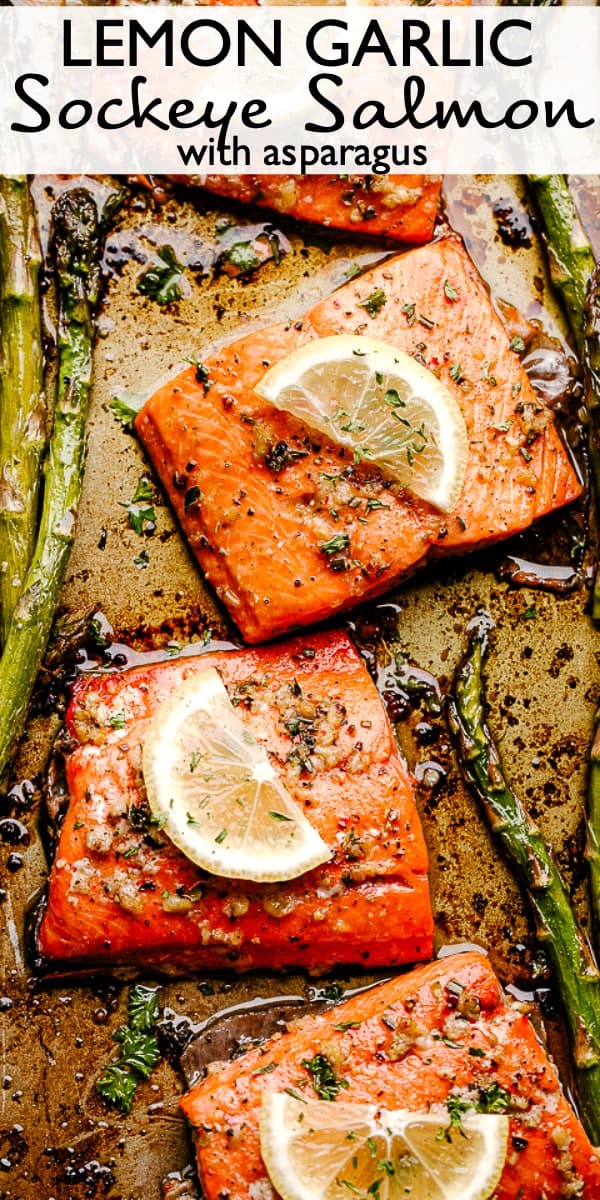 sockeye salmon pinterest image