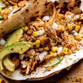 close up shot of a taco filled with chicken carnitas, avocado slices, corn, and onions
