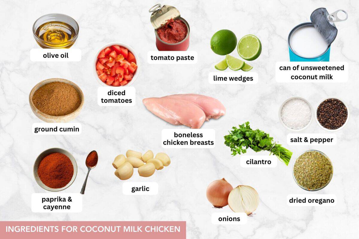 A photo of all the ingredients used to make coconut milk chicken.
