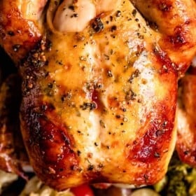 overhead close up shot of a whole roasted chicken served over veggies