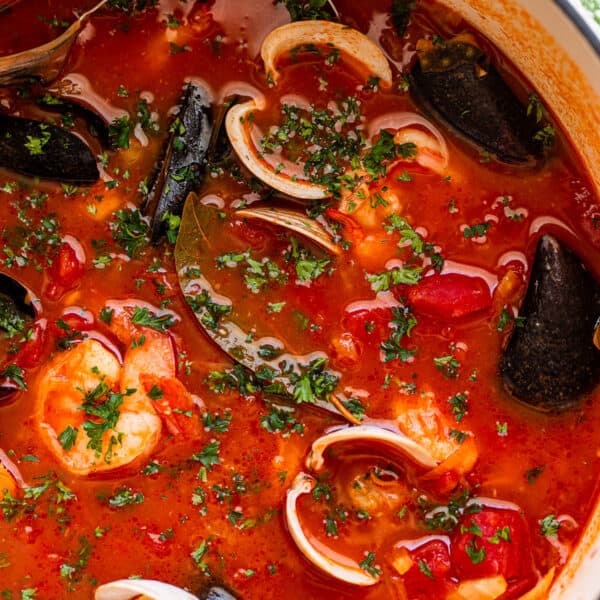 San Francisco Cioppino Recipe | Easy Homemade Fish Stew