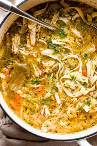 Chicken Noodle Soup | Diethood