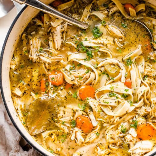 Chicken Noodle Soup | Diethood