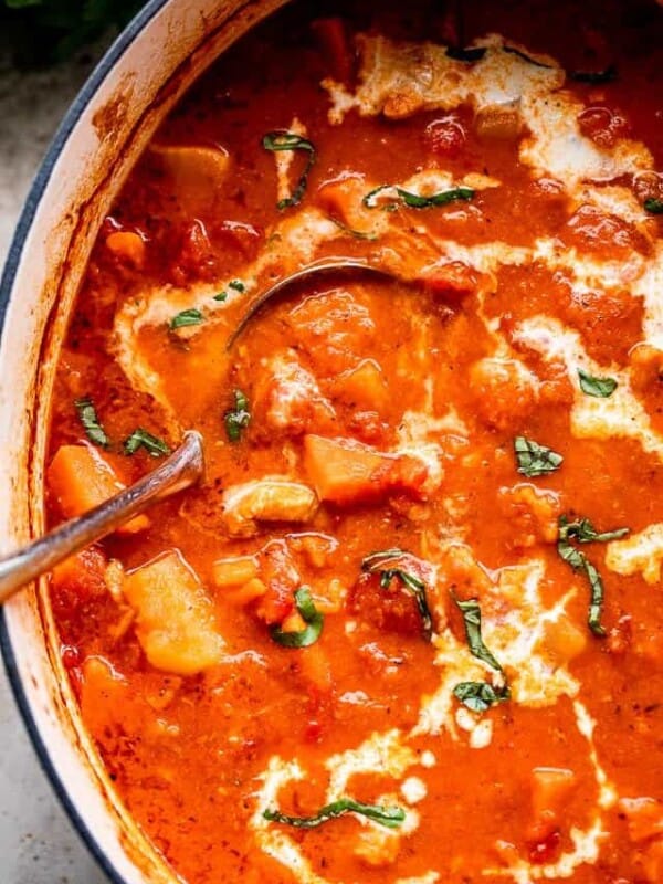 overhead shot of a ladle inside a pot of chicken stew