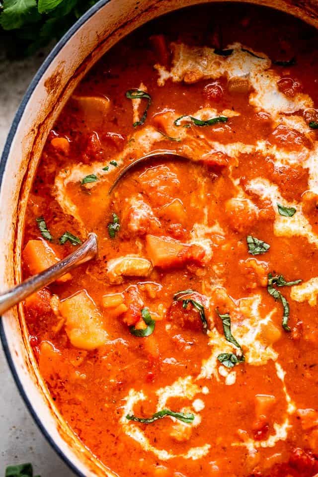 overhead shot of a ladle inside a pot of chicken stew