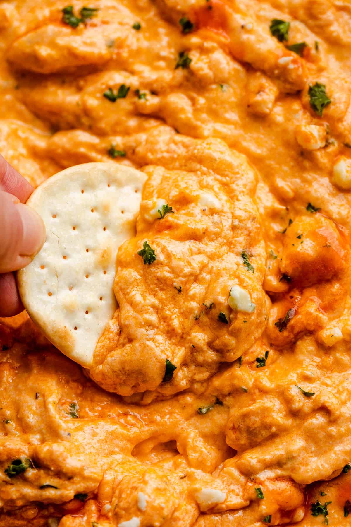 scooping out buffalo chicken dip with a cracker