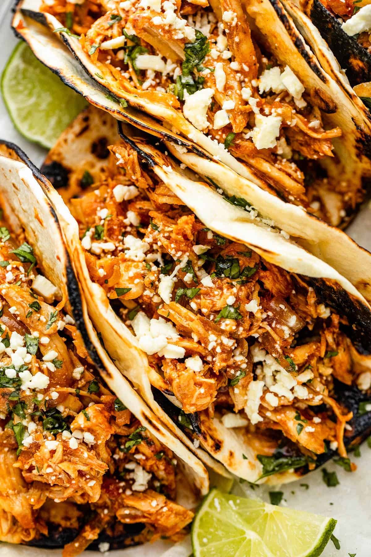 three chicken tinga tacos arranged on a plate and topped with cheese