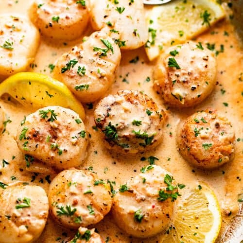 overhead shot of cooked scallops garnished with parsley and lemon slices