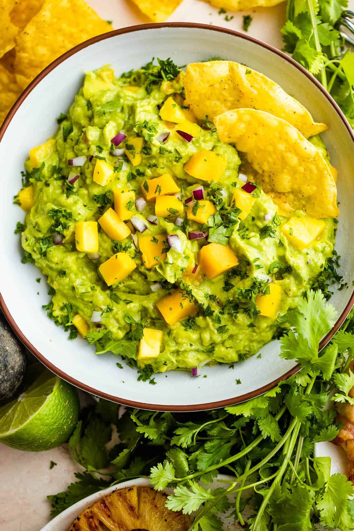 gray bowl filled with guacamole and mangoes with tortilla chips and barbecued meat served around it