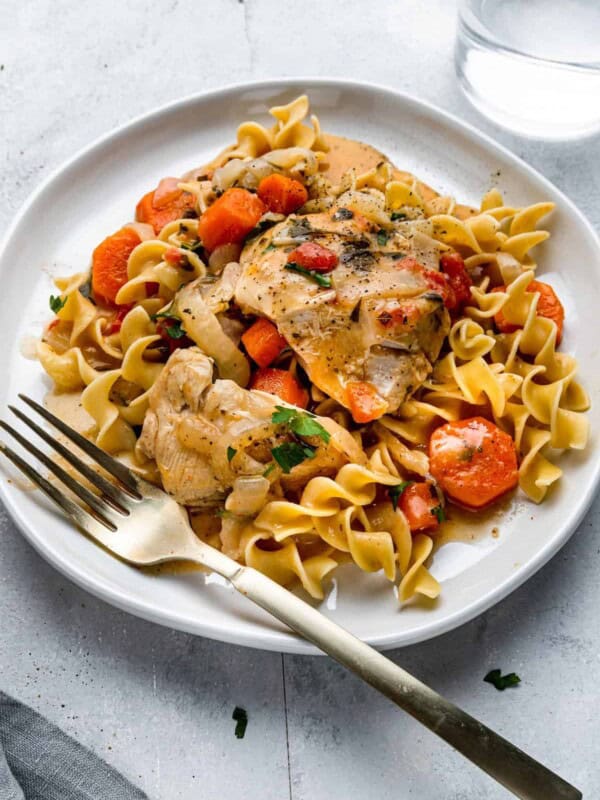 A Plate of Chicken Paprikash on Top of a Light Gray Picnic Table