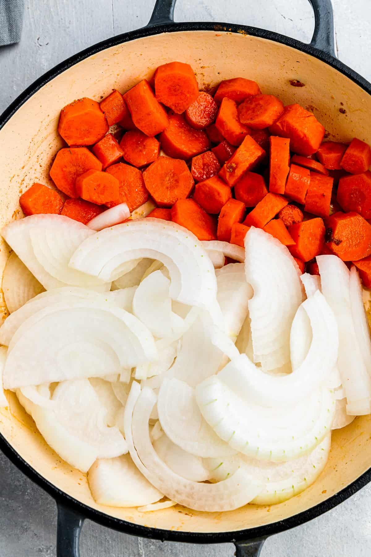 Sliced Onions and Chopped Carrots in a Large Pot with Handles