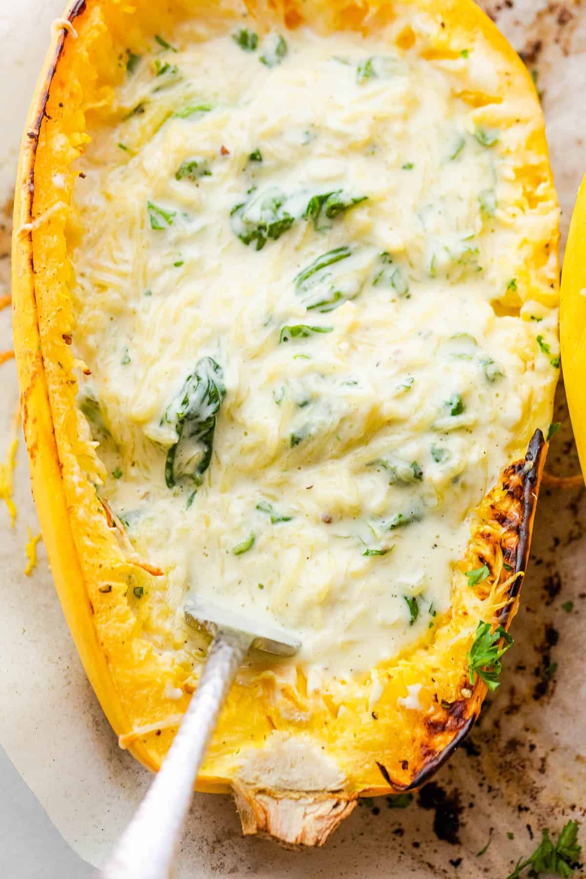 spaghetti squash boat filled with stringy squash in a heavy cream sauce