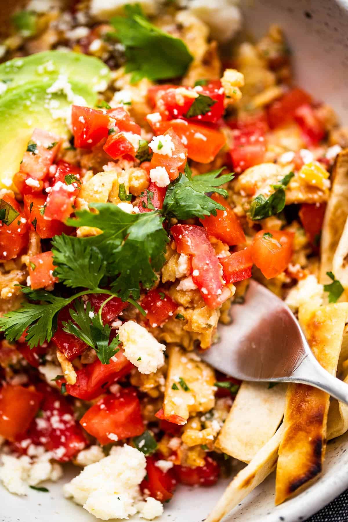 up close shot of diced tomatoes and cilantro served over migas