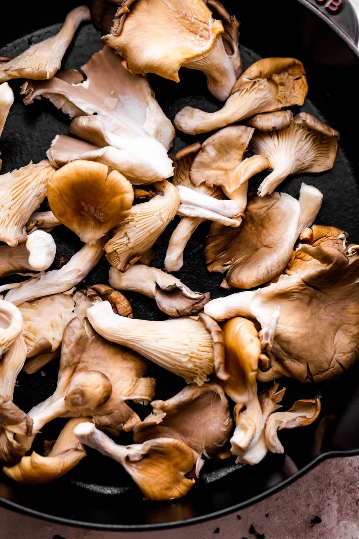 raw oyster mushrooms arranged on a black background