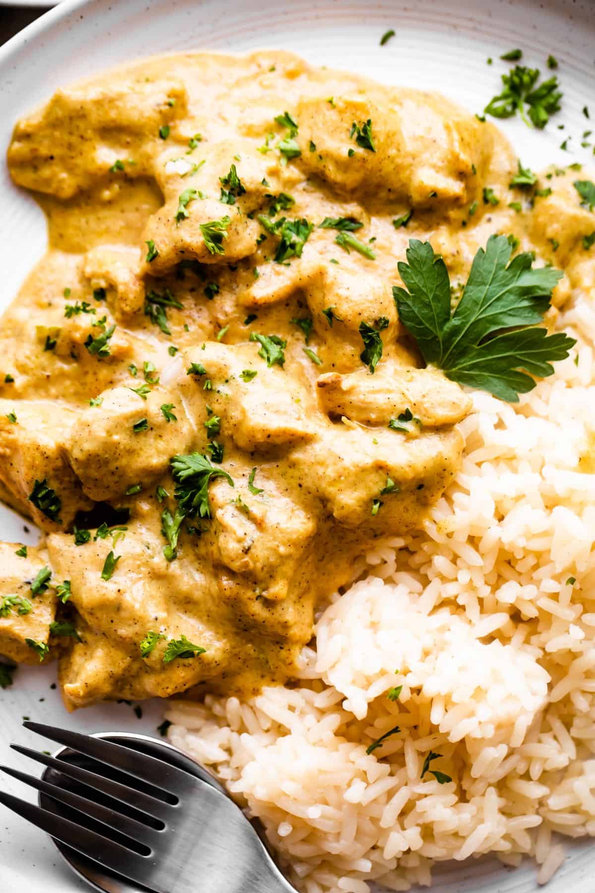 chicken korma served alongside some rice and topped with chopped cilantro.