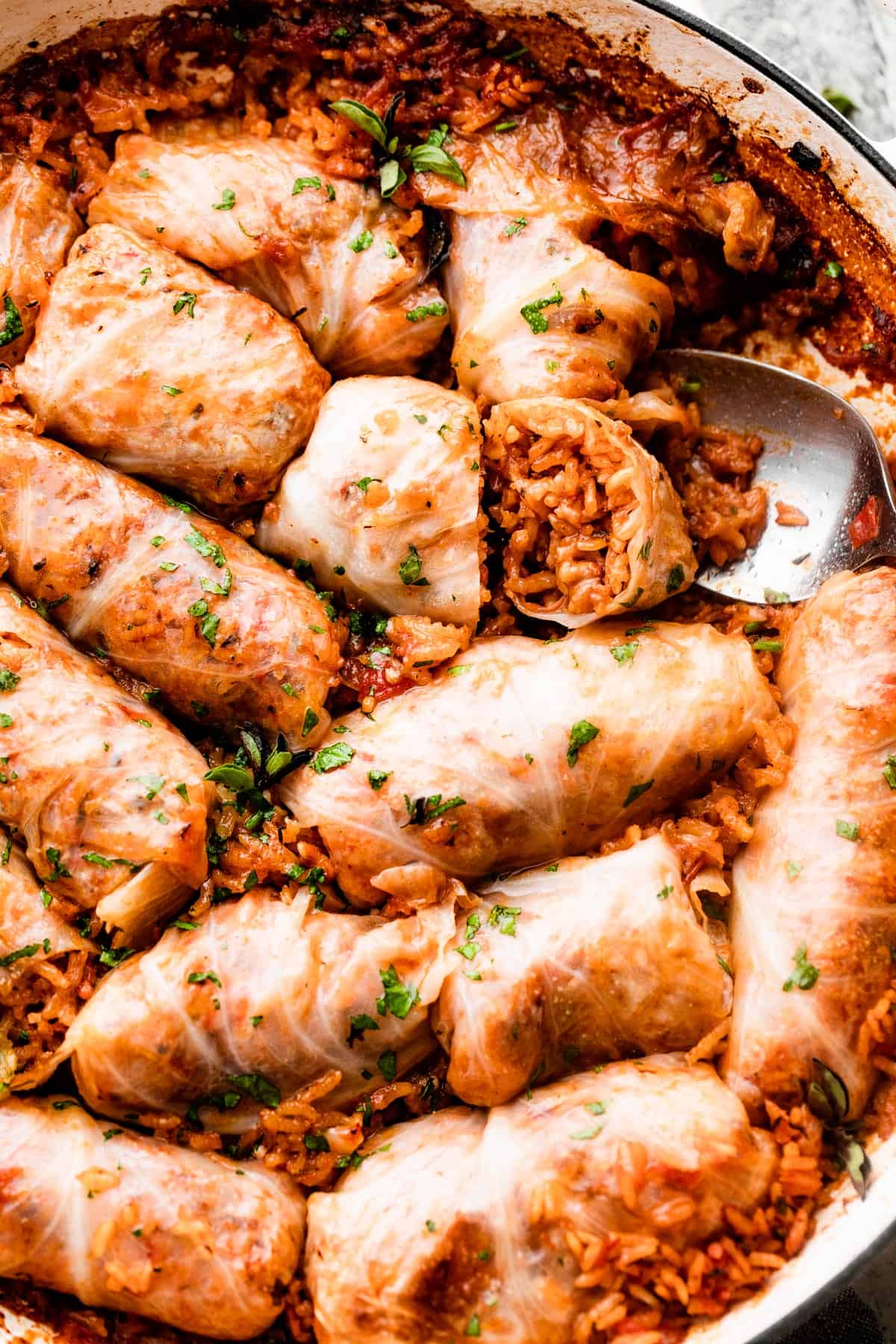 overhead shot of a white braiser filled with cabbage rolls.