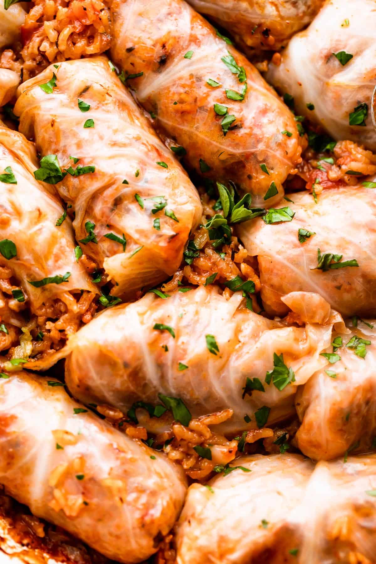 up close shot of rice filled cabbage rolls arranged in a braiser.