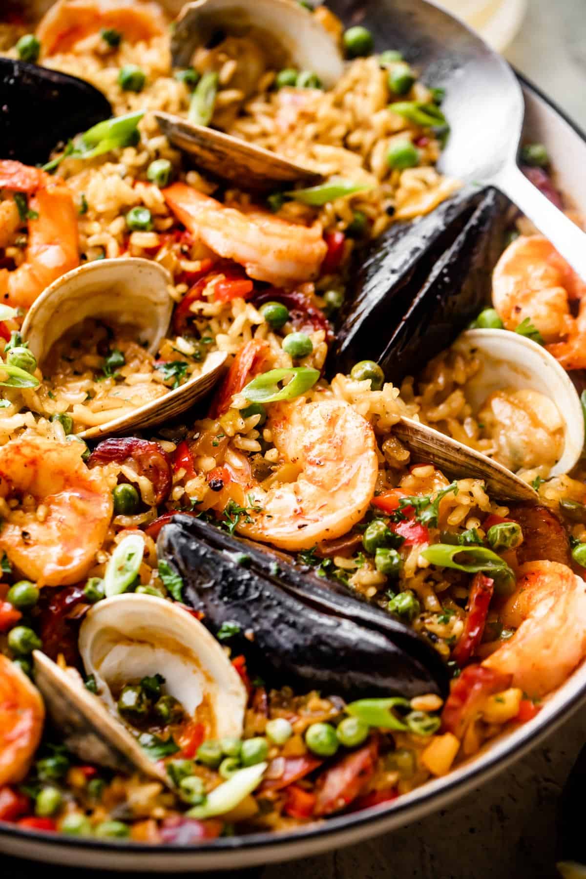 up close side shot of mussels, shrimp, and clams nestled on top of cooked arborio rice.