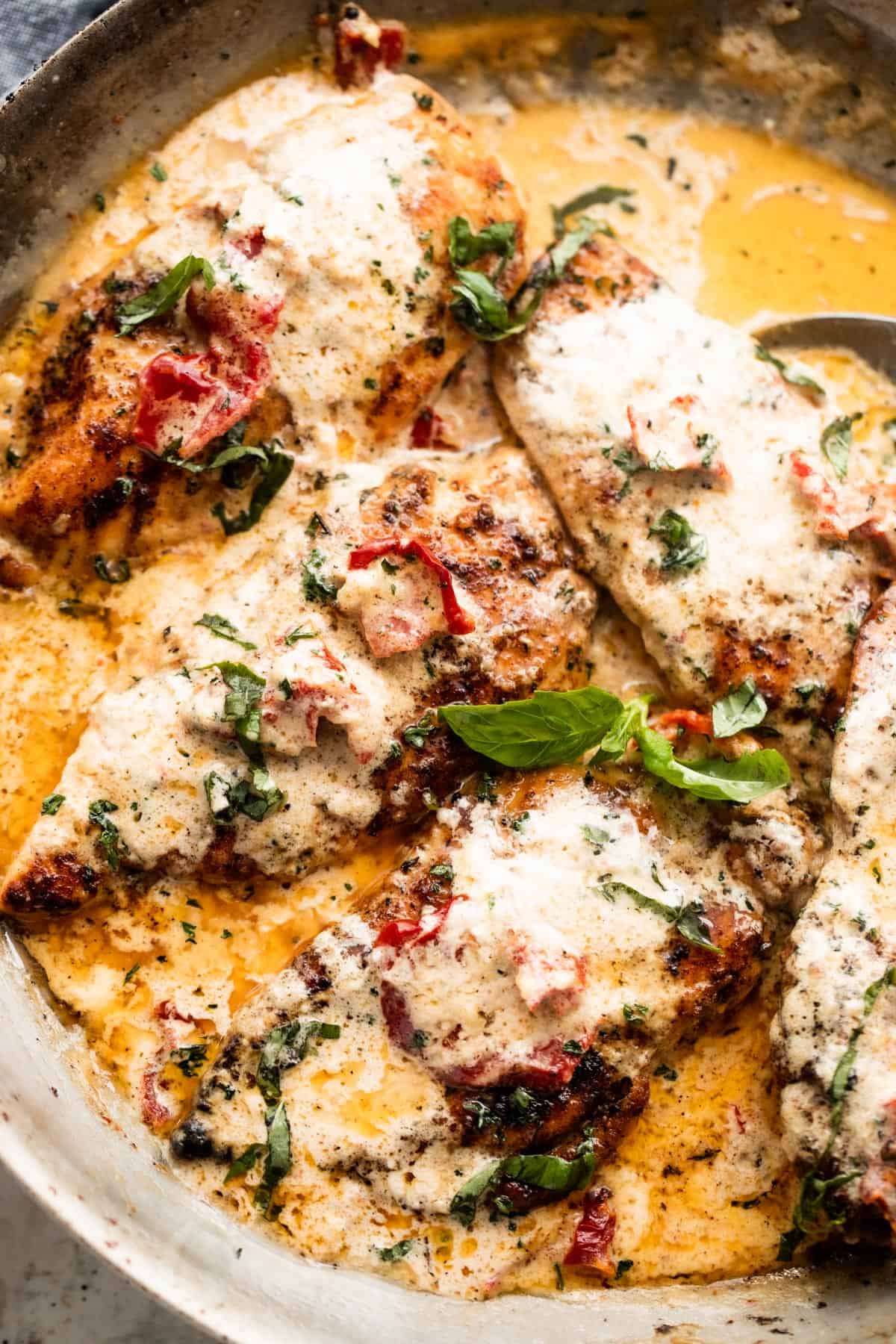 four chicken cutlets arranged in a skillet with creamy sauce and sundried tomatoes.